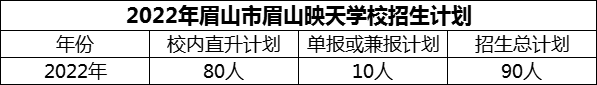 2024年眉山市眉山映天學校招生計劃是多少？