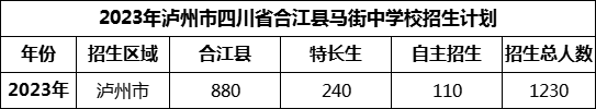 2024年瀘州市四川省合江縣馬街中學(xué)校招生計(jì)劃是多少？