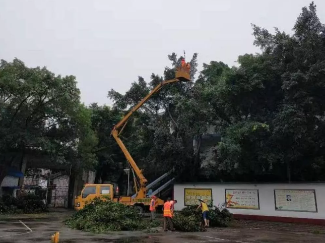 內(nèi)江鐵路中學利用暑假修剪行道樹枝