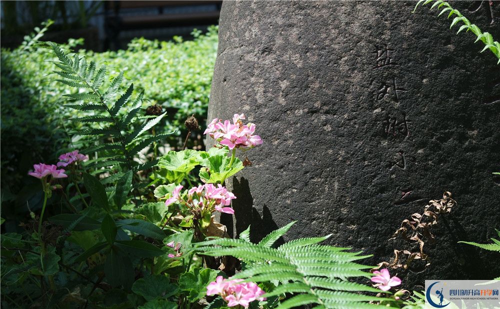 石室聯(lián)合中學(xué)蜀華分校住宿費用是多少？